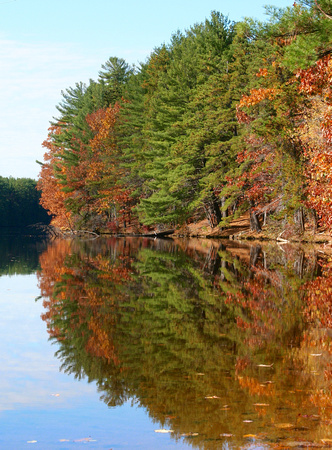 Fall Reflections